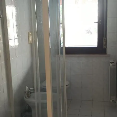 Pet Friendly Apartment