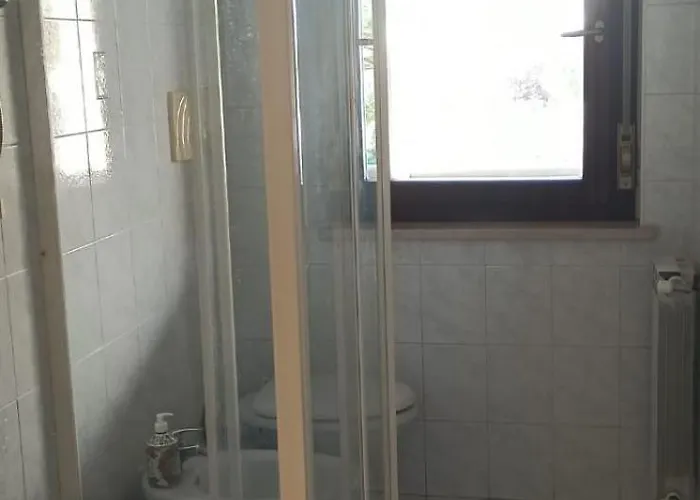 Pet Friendly Apartment